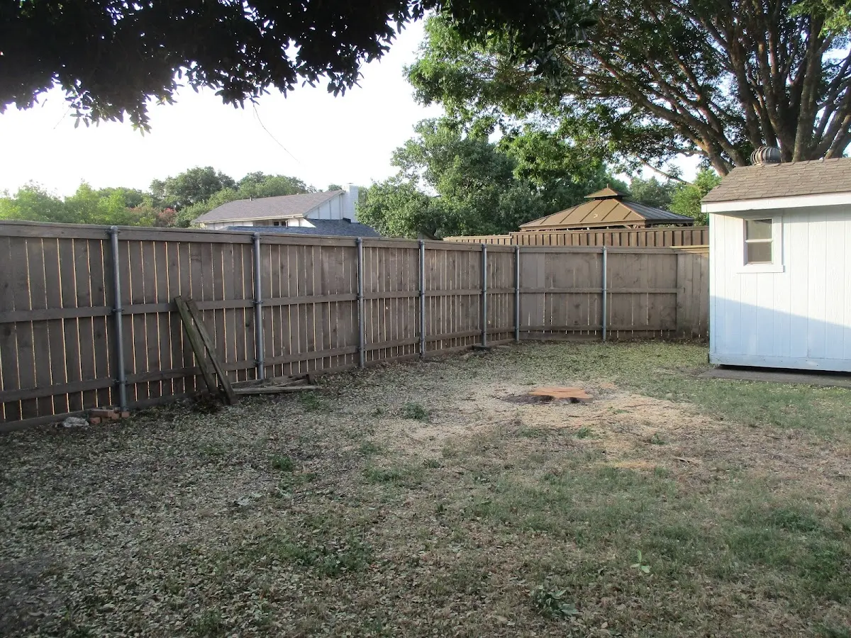 Cleared yard after professional tree removal in Lynxville